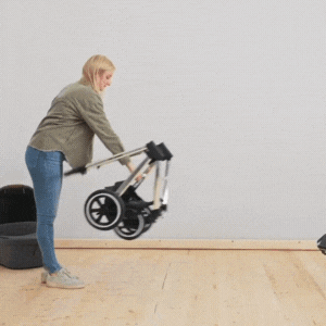 Carucior 2 in 1 pentru copii Samba